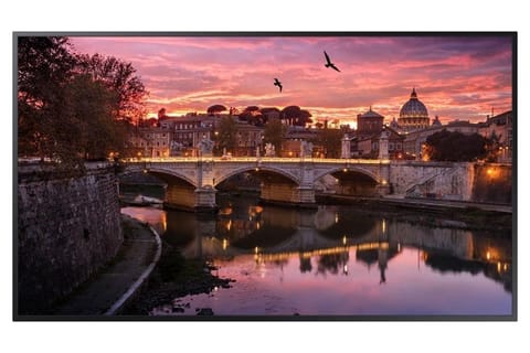SAMSUNG QB49R/N